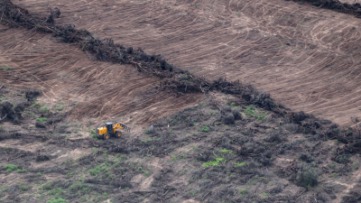 En el primer semestre, Chaco fue la provincia donde más montes se talaron en forma ilegal
