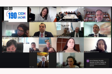 cidh gobierno.jpg