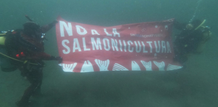 salmoneras1.jpg