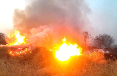 Intenso trabajo de los bomberos por incendios de pastizales