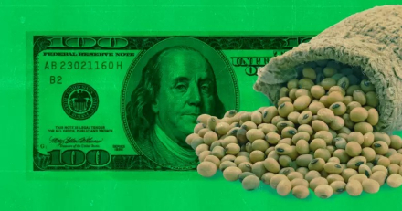 dolar soja.jpg