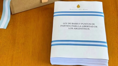 Ley Bases: el Gobierno reglamentó la primera parte y ya son oficiales las privatizaciones