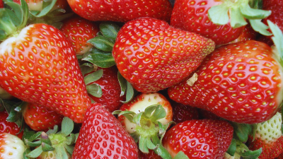 Salieron al mercado las frutillas chaqueñas