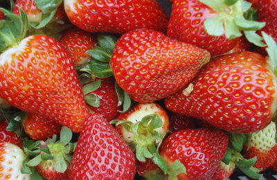 Salieron al mercado las frutillas chaqueñas