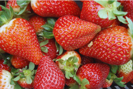 15-R-150-las frutillas.jpg