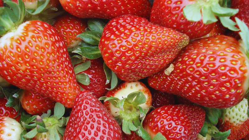 Salieron al mercado las frutillas chaqueñas