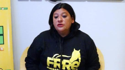 Piden donaciones para sanar un potrillo al que prendieron fuego y perdió los ojos
