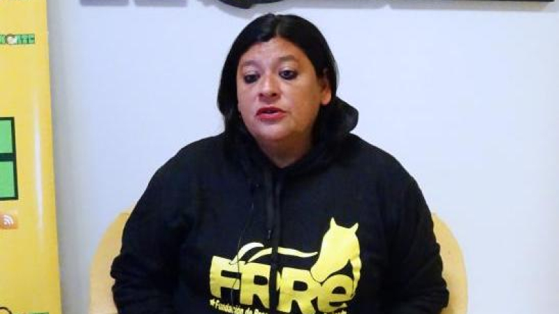 Piden donaciones para sanar a un caballo de dos años que fue prendido fuego y perdió sus ojos