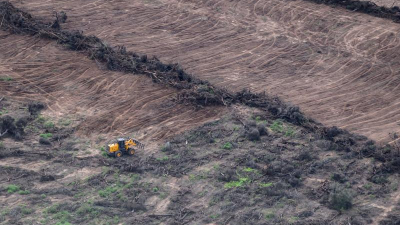 La denuncia por los desmontes chaqueños llegó al Vaticano