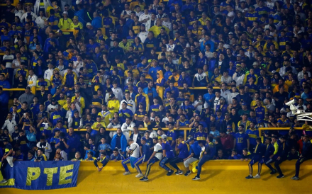 imagen.JPG