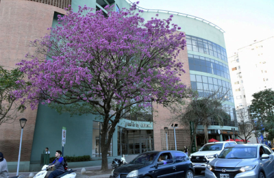 Árboles de Resistencia