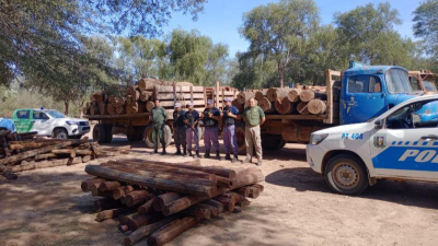 "El tráfico ilegal de madera es enorme y se plantean medidas urgentes"