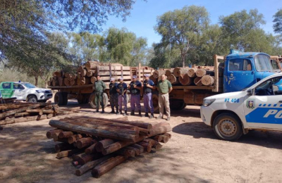 "El tráfico ilegal de madera es enorme y se plantean medidas urgentes"