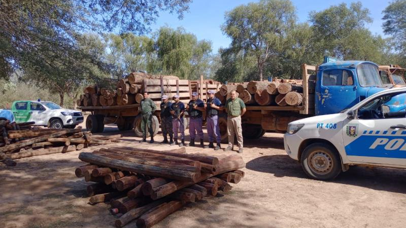 "El tráfico ilegal de madera es enorme y se plantean medidas urgentes"