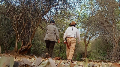 Descubriendo los secretos de El Impenetrable: un viaje al corazón del Chaco
