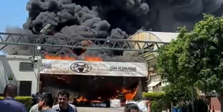 curtiembre arlei incendio.jpg