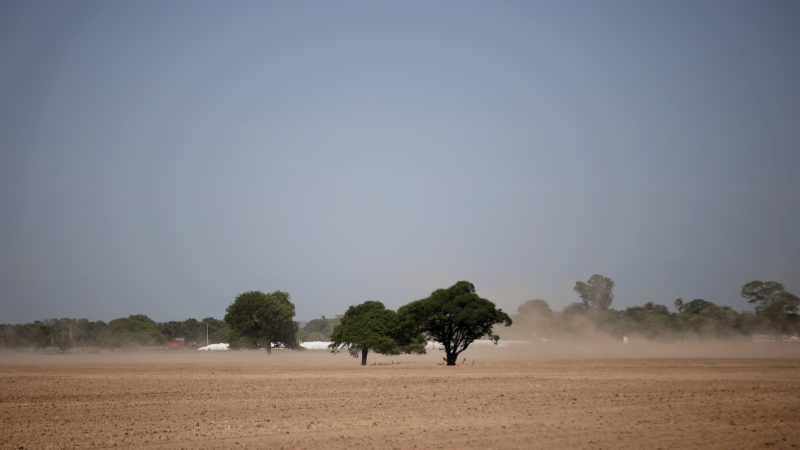 En qué consiste el estado de derecho ambiental