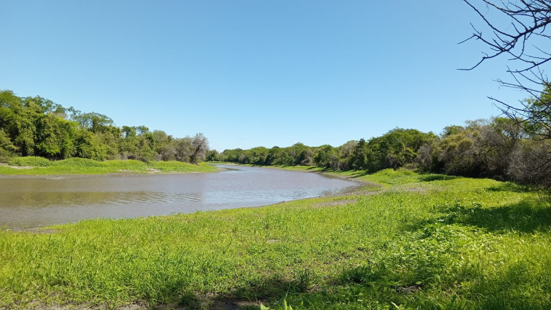 Aliados de la biodiversidad