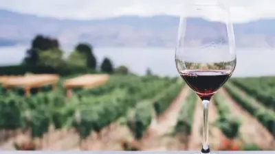 Hoy se celebra el Día Nacional del Vino