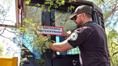 Bosques continúa trabajando en la prevención de desmontes