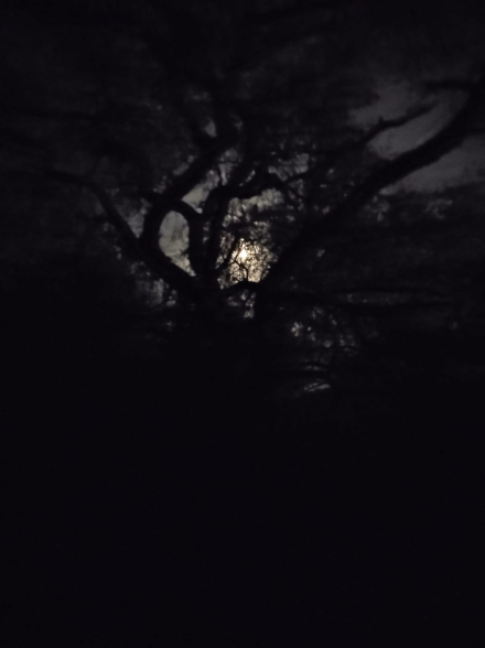llena luna.jfif