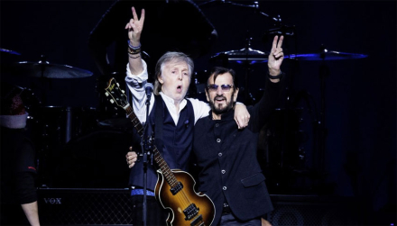 beatle.jpg