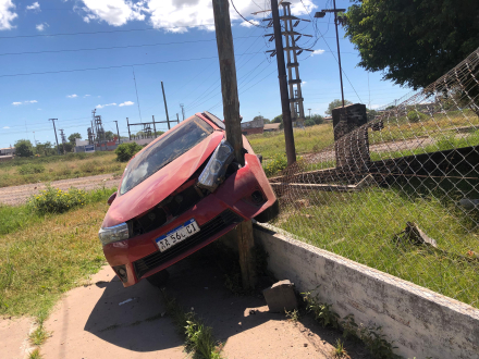 palo dos.jfif