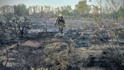 Un rayo impactó en un loro, se prendió fuego y desató un incendio