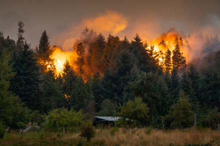 Incendios02.jpg