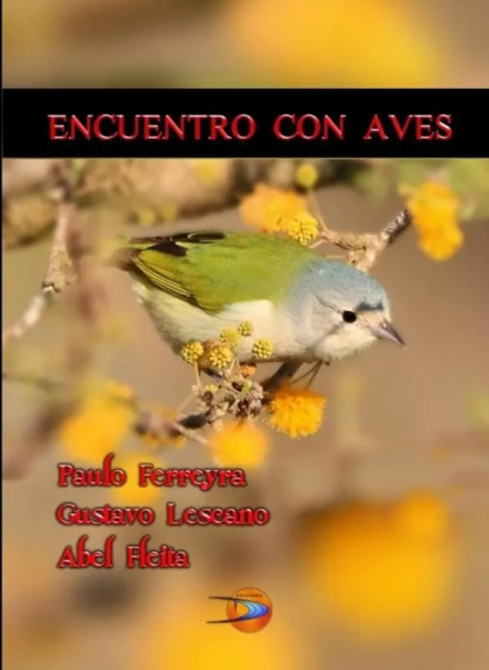 encuentro de aves.jpg