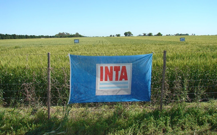 inta.jpg
