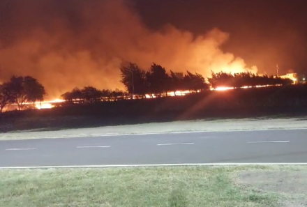 fire.jpg