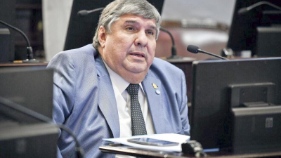 La fractura del bloque peronista en el Senado entusiasma al gobierno