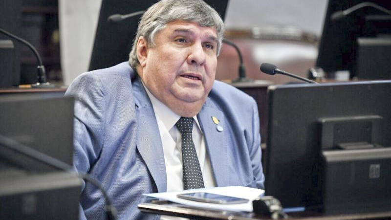 La fractura del bloque peronista en el Senado entusiasma al gobierno
