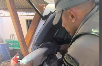 Un empleado judicial fue imputado por participar en el transporte de droga