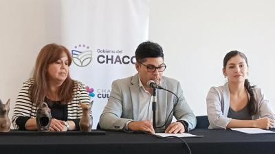 Se lanzó la tercera convocatoria al Salón Nacional de Artes Visuales del Chaco