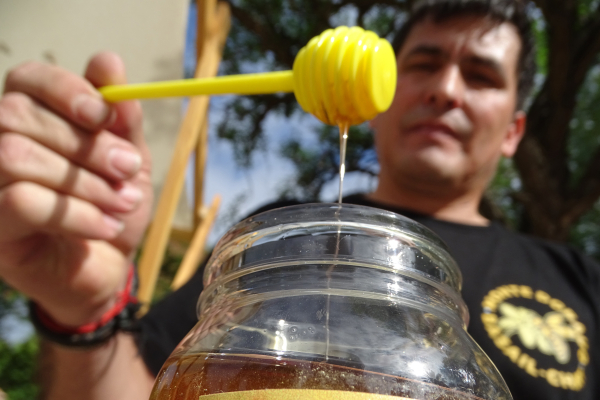 Imágenes de la primera expo miel en Resistencia