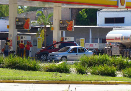shell1.jpg