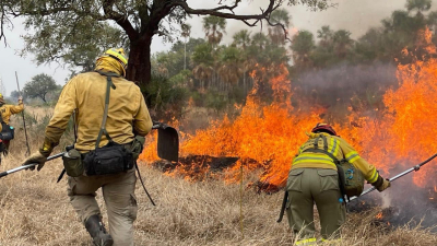 Día Internacional del Combatiente de Incendios Forestales