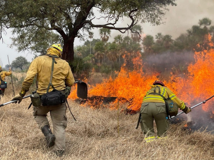 incendios foreestales02.jpg