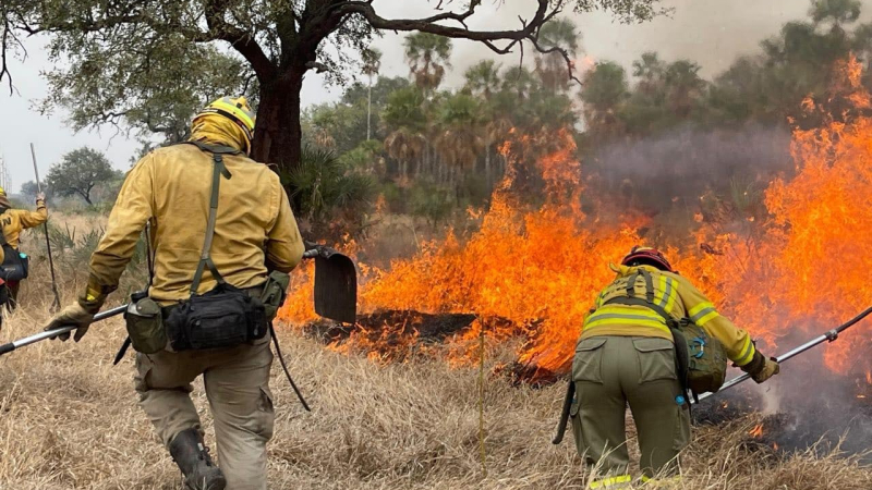 Día Internacional del Combatiente de Incendios Forestales