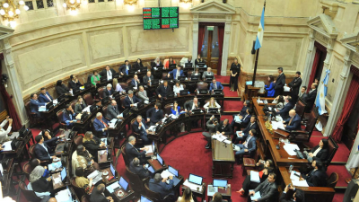 El Senado rechazó el proyecto de Ficha Limpia