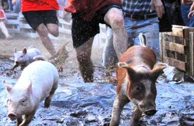 El chancho enjabonado y otros juegos preocupan a proteccionistas
