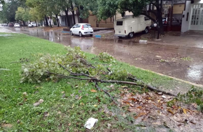 "Necesitamos recuperar al menos 50% de los espacios verdes en las veredas"
