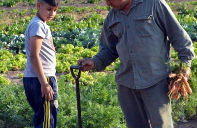 Huertas comunitarias en Sáenz Peña: un trabajo que continúa en vigencia