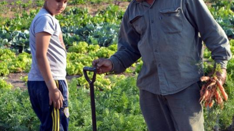 Huertas comunitarias en Sáenz Peña: un trabajo que continúa en vigencia