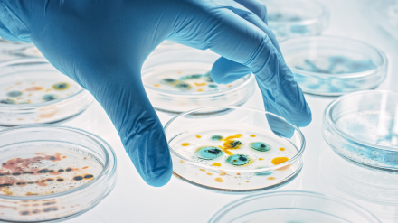 Superbacterias2.jpg