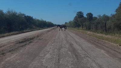 Preocupación vecinal por el deterioro de la ruta 13 entre Villa Ángela y Urien