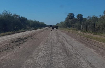 Preocupación vecinal por el deterioro de la ruta 13 entre Villa Ángela y Urien
