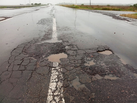 bache2.jpg